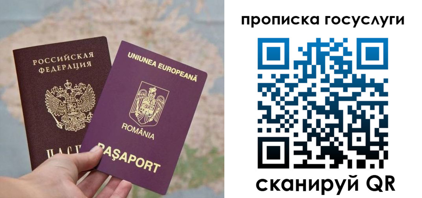 прописка паспорт в Белгородской области
